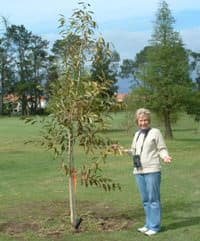 Women's Golf donates a tree to Paarl Golf Club