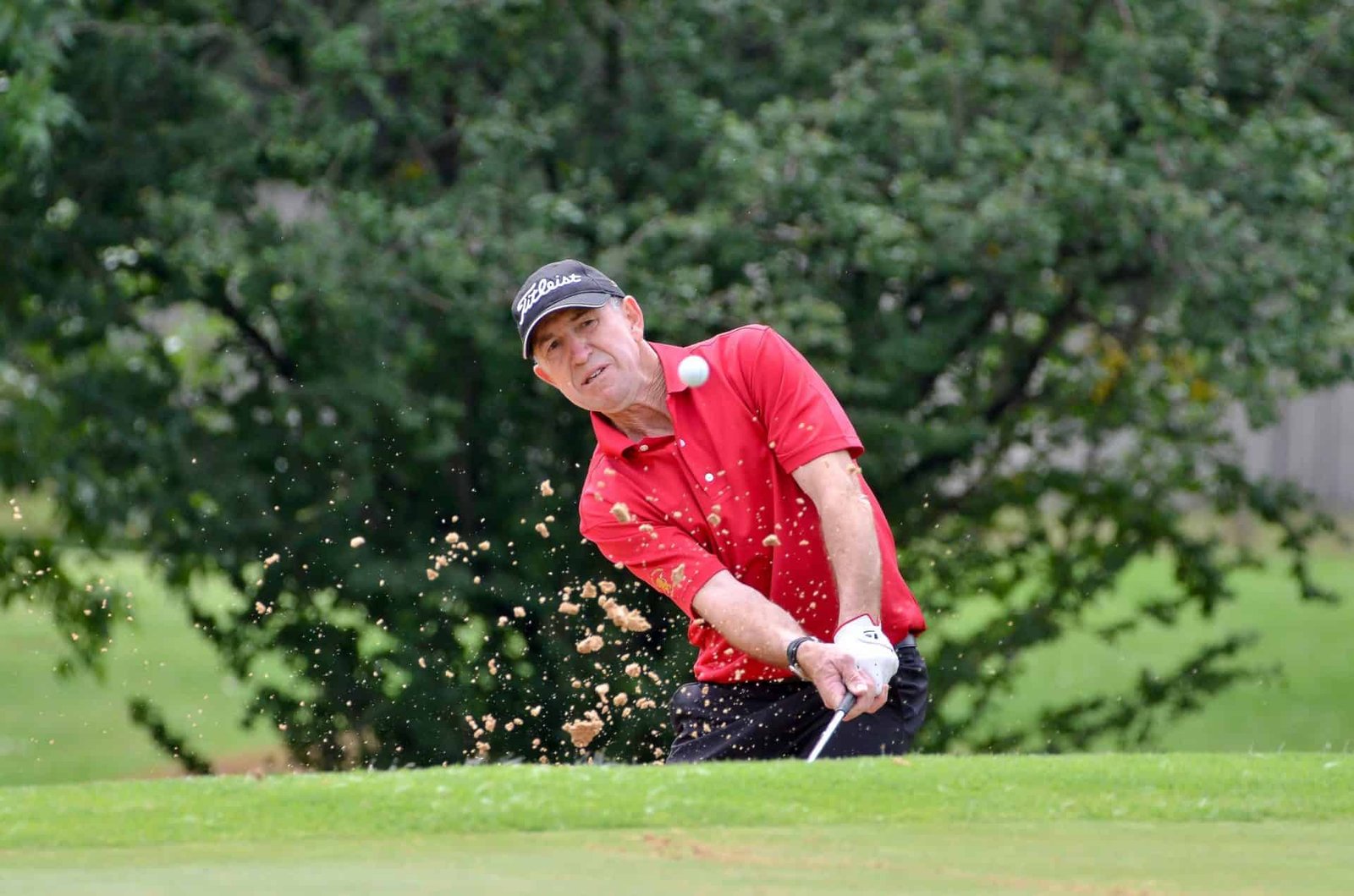 Golf RSA | Lions signal early intent in Stellenbosch